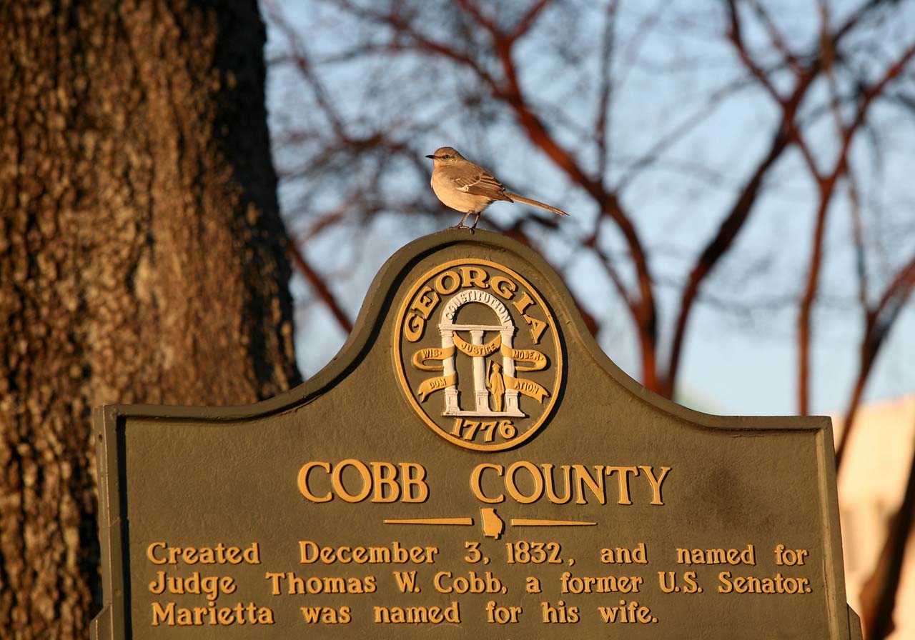 usa_ga_cobb_county_2